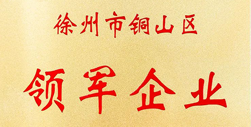 淮海車輛獲徐州市銅山區(qū)年度“領(lǐng)軍企業(yè)”表彰！